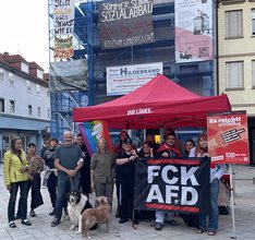 Gruppenfoto Die Linke in Witzenhausen Stand in der Stadt mit Aktionsplakaten